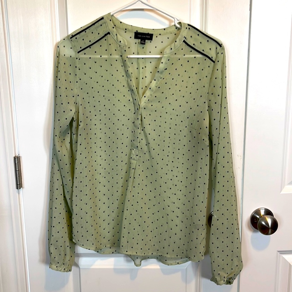 The Limited sheer top